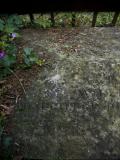 image of grave number 144716